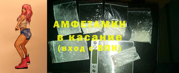 прущие грибы Богданович