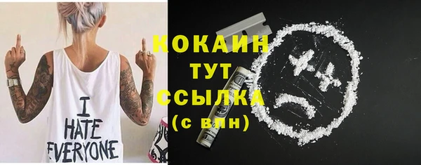 прущие грибы Богданович