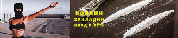 прущие грибы Богданович