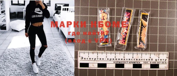 прущие грибы Богданович