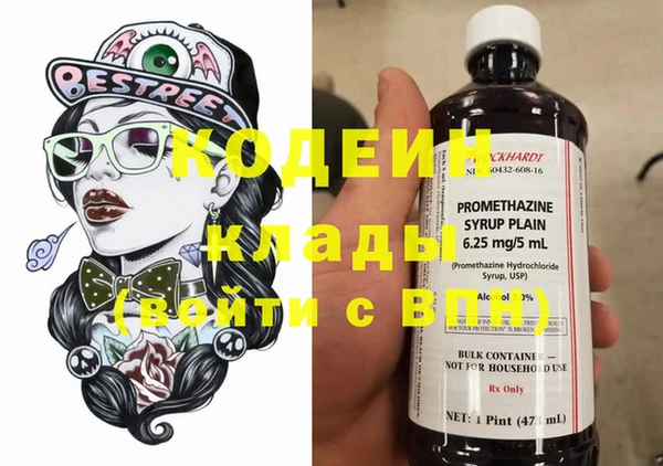 прущие грибы Богданович