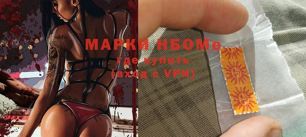 прущие грибы Богданович