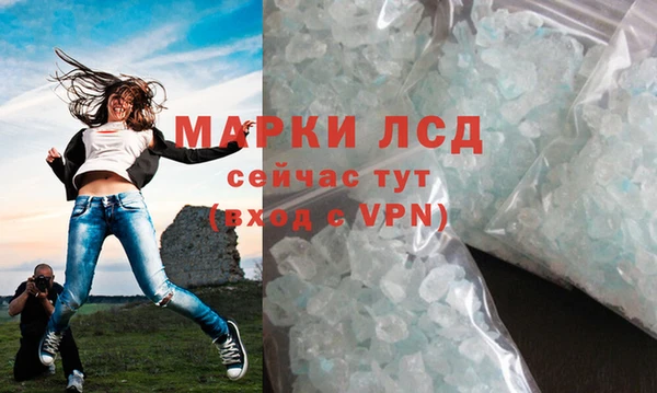 прущие грибы Богданович