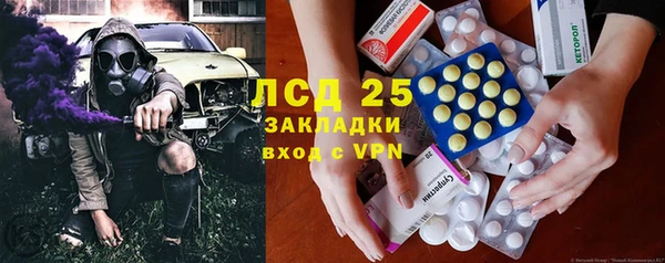прущие грибы Богданович