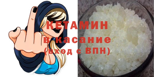 прущие грибы Богданович