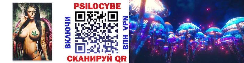 Псилоцибиновые грибы Psilocybe  Тверь 